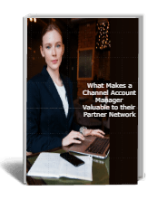 what makes Channel Account Manager valuable