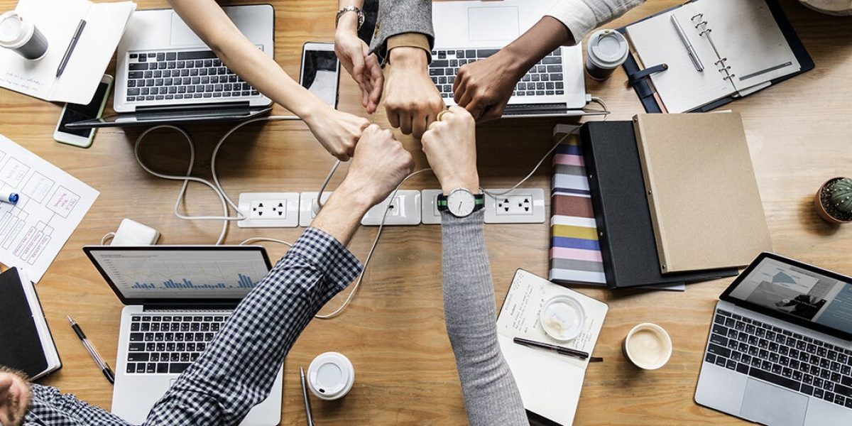 opportunity management software